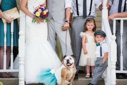 Gray Boys' and Men's Flat Hat | Applejack Newsboy Cap | Gray Linen Bow Tie | and Suspenders Set for Wedding Ring Bearer Outfit with Fall Swag Hat